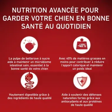 PURINA ONE® MINI/SMALL < 10kg WEIGHT CONTROL Croquettes pour chien en surpoids ou stérilisé Riche en Dinde avec du Riz