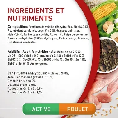 PURINA ONE® MINI/SMALL < 10kg Active, Croquettes pour petit chien actif Riche en Poulet avec du Riz