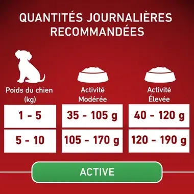 PURINA ONE® MINI/SMALL < 10kg Active, Croquettes pour petit chien actif Riche en Poulet avec du Riz