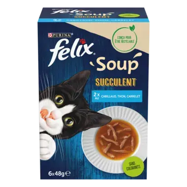 FELIX® Soup Succulent sélection de Poissons