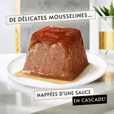 Gourmet REVELATIONS Boeuf