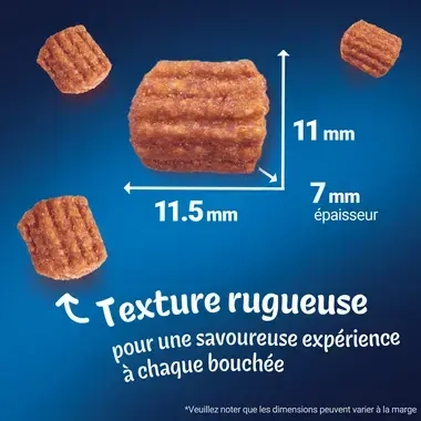 FELIX® Tasty Nuggets Riche en Saumon avec de la Truite – Friandises pour Chat
