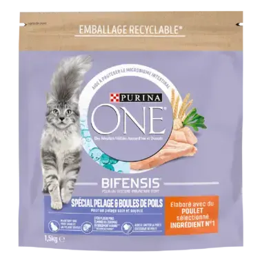 Purina ONE® - Croquettes pour Chat Spécial Pelage et Boules de Poils au Poulet et aux Céréales