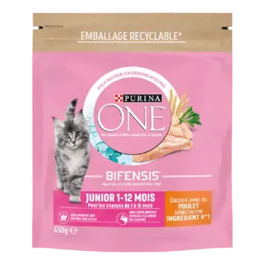 Purina ONE® - Croquettes Junior pour Chaton de 1 à 12 mois au Poulet