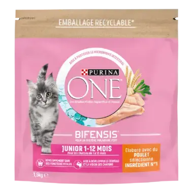 Purina ONE® - Croquettes Junior pour Chaton de 1 à 12 mois au Poulet 1.5kg