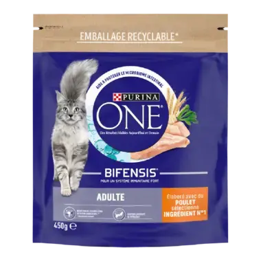 Purina ONE® - Croquettes pour Chat Adulte au Poulet et aux Céréales
