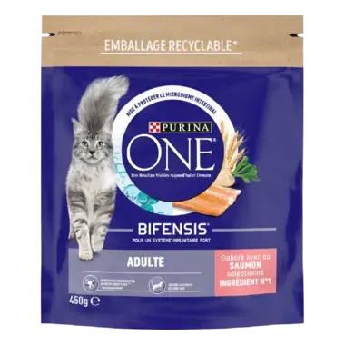 Purina ONE® - Croquettes pour Chat Adulte au Saumon et aux Céréales