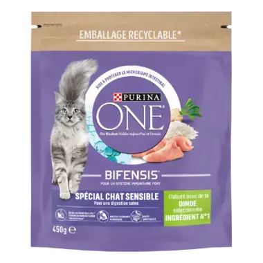 Purina ONE® - Croquettes pour Chat Sensible à la Dinde et au Riz
