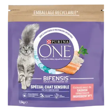 Purina ONE® - Croquettes pour Chat Sensible au Saumon et au Riz