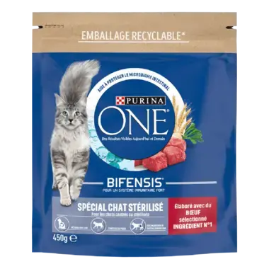 Purina ONE® - Croquettes pour Chat Stérilisé au Bœuf et au Blé 450g