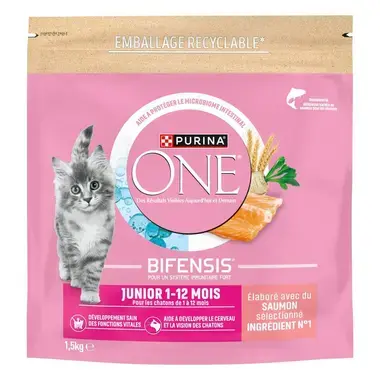 Purina ONE® - Croquettes Junior pour Chaton de 1 à 12 mois au Saumon