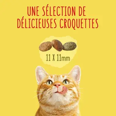 FRISKIES® Pour Chats D’intérieur - Croquettes avec un délicieux mélange de Poulet et de Dinde avec des Légumes