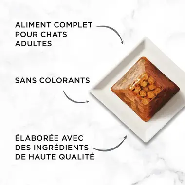 GOURMET® REVELATIONS® au Saumon - Bouchées en gelée