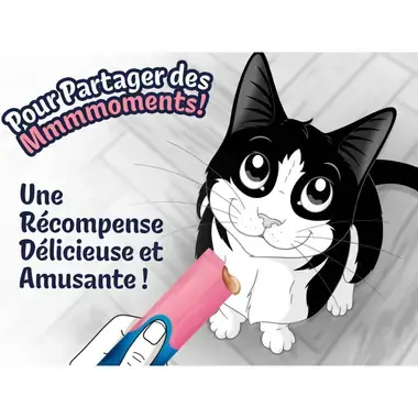 Felix® Deli Moments™ au Saumon – Friandises pour Chat