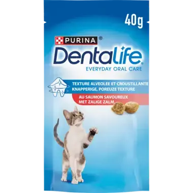 PURINA® DENTALIFE® Chat au Saumon Savoureux