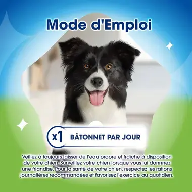 DENTALIFE® ActivFresh® Moyen Chien (12-25kg) - Bâtonnets à mâcher