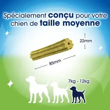 DENTALIFE® ActivFresh® Petit Chien (7-12kg) - Bâtonnets à mâcher