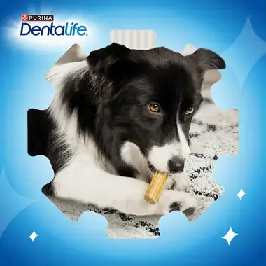DENTALIFE® Daily Moyen Chien (12-25kg) - Bâtonnets à mâcher