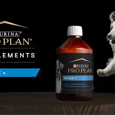 Aliment complémentaire pour chien PRO PLAN®