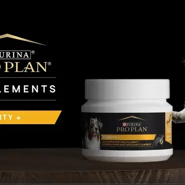 Aliment complémentaire pour chien PRO PLAN®