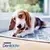 PURINA® DENTALIFE® Petit Chien (7-12kg)