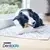 PURINA® DENTALIFE® Moyen Chien (12-25kg)