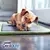 PURINA® DENTALIFE® Très Petit Chien (2-7kg)