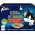 PATE CHAT FELIX EFFILE EN SAUCE CAMPAGNE