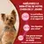 PURINA ONE® MINI/SMALL < 10kg Croquettes pour petit chien adulte Riche en Bœuf avec du riz