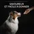 PRO PLAN® Multivitamins + Chien