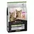 Purina® Pro Plan® Sterilised Kitten HEALTHY START, Riche en Saumon - Croquettes pour Chaton Stérilisé aidant au renforcement 