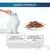 Rations journalières conseillées Gourmet Perle filettines legumes et veau pour un chat adulte à l'activité modéré