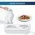 Rations journalières conseillées Gourmet Perle effiles plaisirs de la mer pour un chat adulte à l'activité modéré