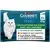 GOURMET® PERLE Les Filettines en Sauce avec des Légumes - Sachets pour chat
