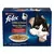 PATE CHAT FELIX EFFILE EN SAUCE CAMPAGNE