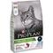 Purina® Pro Plan® Sterilised Adult RENAL PLUS, Riche en Dinde - Croquettes pour Chat Stérilisé aidant au maintien d'une bonne