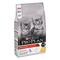 PURINA® PRO PLAN® Kitten HEALTHY START Riche en Poulet - Croquettes pour chatons qui renforcent la réponse immunitaire. Convi