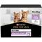 PURINA® PRO PLAN® Kitten HEALTHY START à la Dinde en Sauce