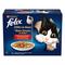 PATE CHAT FELIX EFFILE EN SAUCE CAMPAGNE