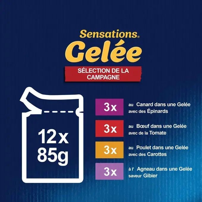 FELIX Sensations en Gelée pour chat Sélection de la Campagne Types de Recettes