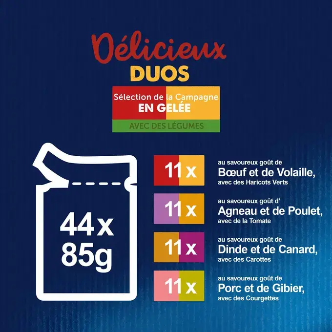 PATEE CHAT FELIX TENDRE EFFLILES CAMPAGNE MAXI RECETTES