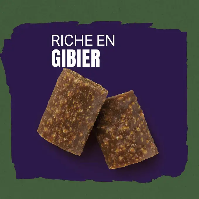 AdVENTuROS™ riche en Gibier, avec céréale ancienne et super-aliments - Friandises pour Chien