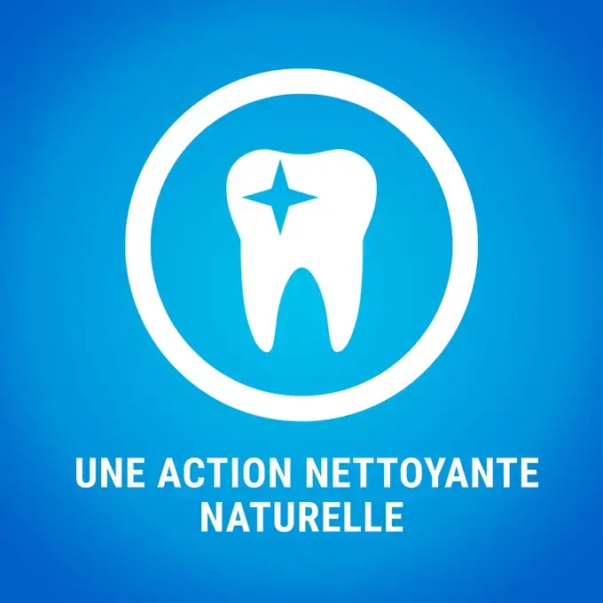 PURINA® DENTALIFE® Chat au Poulet Savoureux