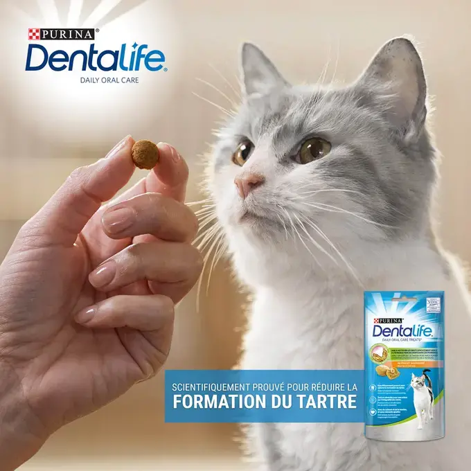 PURINA® DENTALIFE® Chat au Poulet Savoureux