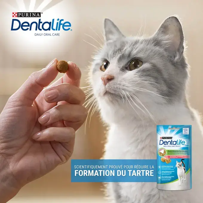 PURINA® DENTALIFE® Chat au Saumon Savoureux
