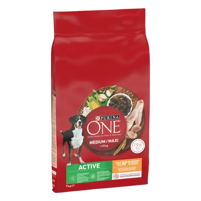 PURINA ONE® MEDIUM MAXI > 10kg Active, Croquettes pour chien actif Riche en Poulet avec du Riz -