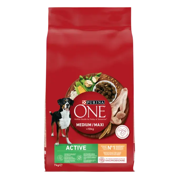 PURINA ONE® MEDIUM MAXI > 10kg Active, Croquettes pour chien actif Riche en Poulet avec du Riz -