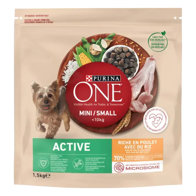 PURINA ONE® MINI/SMALL < 10kg Active, Croquettes pour petit chien actif Riche en Poulet avec du Riz