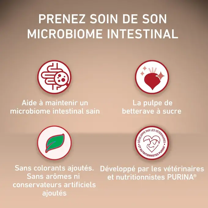 PURINA ONE® MEDIUM MAXI > 10kg Active, Croquettes pour chien actif Riche en Poulet avec du Riz
