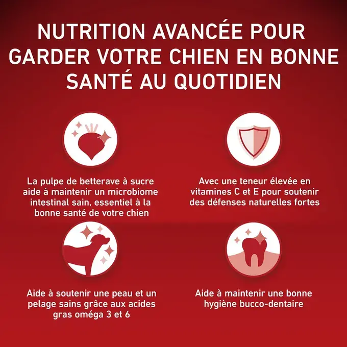 PURINA ONE® Medium / Maxi > 10kg Croquettes pour chien adulte Riche en Poulet avec du Riz